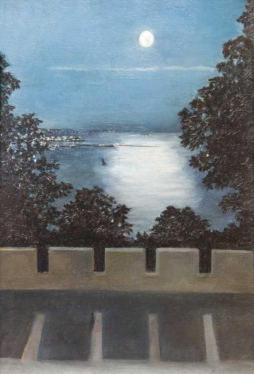 Notturno dalla terrazza